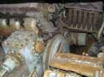 T-54 medium tank