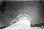 The T-26 Light Tank